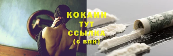 гидропоника Медногорск