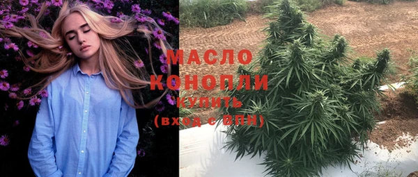 гидропоника Медногорск