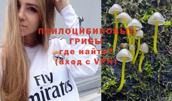меф Медвежьегорск