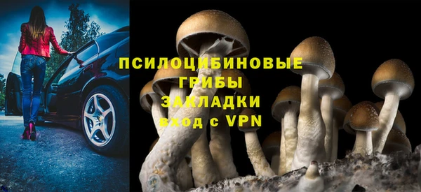 гидропоника Медногорск